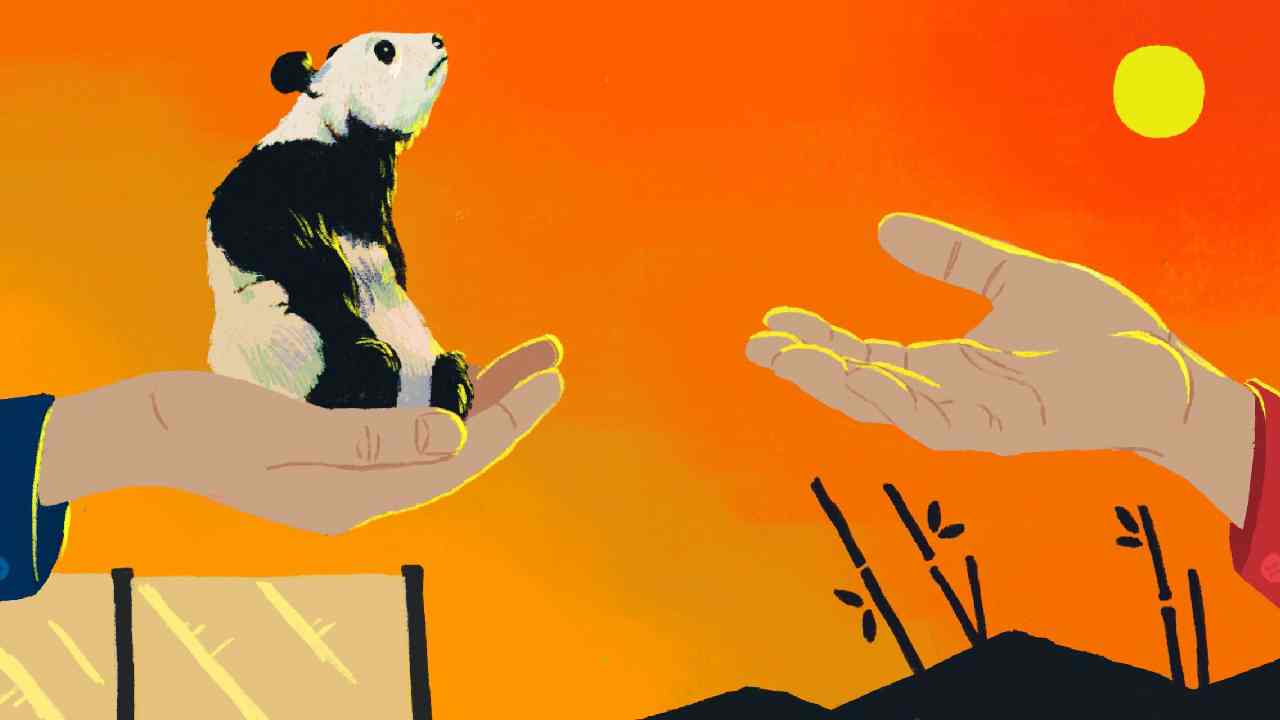 China panda diplomacy