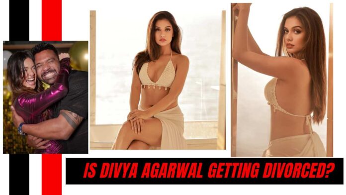 Is Divya Agarwal Getting Divorced? But not in reality